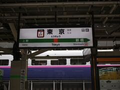 2020年3月12日(木)、やってきました東京駅。ここを毎日通勤されている方はいつも見る光景でしょうが、田舎の千葉から来るとテンション上がります。