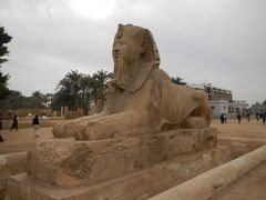 そして「メンフィス博物館」に到着。

古代エジプトの最も古い都があったメンフィス。
その周辺で発見発掘されたいろいろなものが展示されています。

スフィンクスもあります。
かなり保存状態が良くお顔がとっても綺麗
表情もはっきりとわかります。
アラバスター（大理石）製では最大。
全長８ｍ・高さ４．５ｍの大きさです。

なにより身近で見ることが出来て良い。