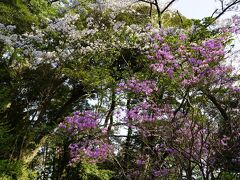 大多喜城の二丸公園