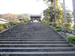 翌日、身延山久遠寺の枝垂れ桜を観に行ってみました。