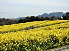 あわじ花さじき