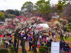 ◆2020年2月22日

東急東横線の大倉山駅にある大倉山公園で観梅。

このころから急激に風向きが変わった。
何かよろしくないことが起きるんじゃないかという重い空気が流れ始める。