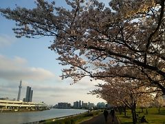 隅田公園