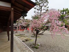 昭和32年に分祀して　
創建した　割合に歴史の浅い神社だそうです