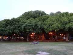 ラハイナバニアンコートの隣の公園で、夕涼み♪