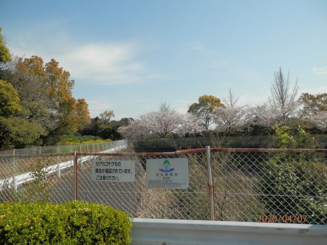 あまりのぽかぽか陽気で知北平和公園 知多 東浦 愛知県 の旅行記 ブログ By さいちゃんさん フォートラベル あまりのぽかぽか陽気で知北平和公園 知多 東浦 愛知県 の旅行記 ブログ By さいちゃんさん フォートラベル