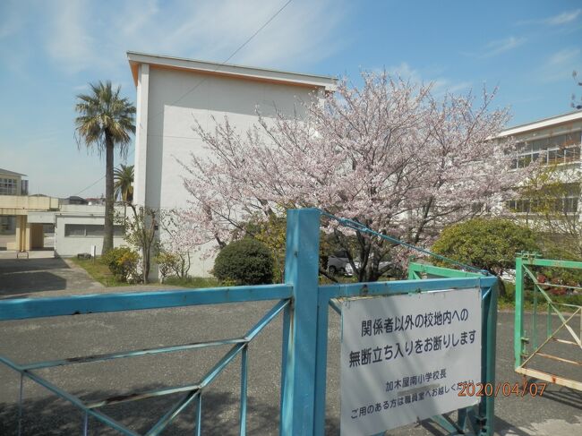 あまりのぽかぽか陽気で知北平和公園 知多 東浦 愛知県 の旅行記 ブログ By さいちゃんさん フォートラベル