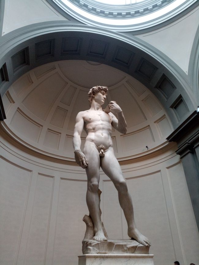 アカデミア美術館に来た目的のダビデ像（ミケランジェロ・ブオナローティ作）