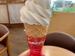 伊吹山ミルクモカソフトクリームが絶品でした!