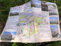 　舞鶴公園さくら地図
　無料で自由に見られて、地図も無料でした。無人スタンドに置いてあったので、頂きました。
