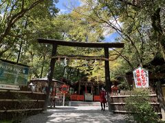 「竹林の道」を通って源氏物語にも描かれている野宮神社にお参り。