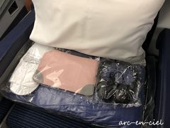 飛行機での移動