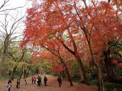 ゆっくりと紅葉を愛でながら
表参道を歩きます

ここからはしっとりと晩秋の
京都を楽しむ旅に変わります