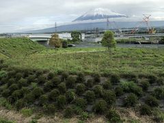翌朝は朝霧高原へ。富士山が、てっぺん以外は見えました。

