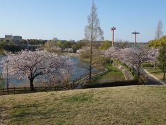 結論をいいます。
１．空気中を浮遊している１ミクロンの大きさの水滴・浮遊物がウイルスを運んでいる。息やつばはもちろんのこと、空気中の微小水滴、チリ、温泉の水蒸気、酒屋のアルコール蒸気（酒臭さ）、混雑した場所の「人いきれ」、タバコの煙、それらがウイルスをはこんでいる。それらのミクロンの大きさの水滴・浮遊物は、１０メートル以上の領域を、飛び回っているの。
２．飛び回っているウイルスは、肌の湿り気（皮膚に付着しているミクロンの大きさの水分）に貯えられ、それが再度蒸発して、口・鼻から体内に入る。
３．出演者の発声・発汗をともなう「観覧イベント」はなくなる。スポーツ・イベントも同じ。選手は、定期検査の陰性者が出場できるとしても、観客は、全員の検査は不可能なので、無観客試合しかありえない。プロ・スポーツは衰退する。ライブハウスはなくなる。
２１世紀はそんな時代に突入したのです。

（2020年4月1３日記す。）