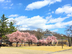 甲府城跡。

桜が満開です。
城跡と桜、風情がありますね。

写真の建築物は稲荷櫓。
普段は中を見学できるようですが、その日は新型ウイルスの影響で見学不可。