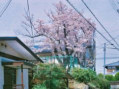 晴天につられて出発する。

自宅　11：34（0.0km・0.0km・0.0km/h）