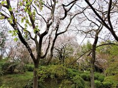 天龍寺