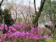 天龍寺