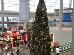 ダラスの空港。海外はクリスマスを過ぎてもツリーを飾っていること多いですよね。クリスマス後に速攻片付けてお正月飾りになるのは日本位じゃないかしら？