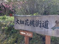 大畑花桃街道