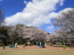 東村山中央公園