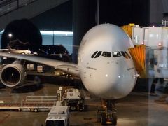 2度目のエアバスA380。
エミレーツ航空は初めてなのでワクワク♪