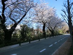 三鷹の駅下車

駅のすぐそばにある風の散歩道。
吉祥寺公園までつながっています。