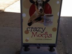 Crazy Mocha