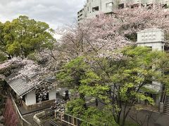 飛鳥山公園近くの音無橋から親水公園を見下ろしました。
