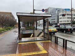 前回は大宰府から西鉄で祇園駅まで行ったところまででした。それから地下鉄で大濠公園駅までやってきました。外はあいにくの土砂降りです。