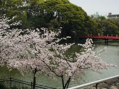 赤い橋を渡ると茶臼山公園です(^.^)
のんびり桜を見ながら散歩しました！無料です。