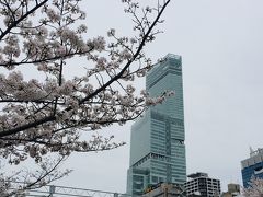あべのハルカスと天王寺公園の桜。
天気が良ければなぁー
現在の天王寺公園は「てんしば」という芝生の広場になっていてCafeやShopがありいつも賑わっていますヽ(*´∀｀) 