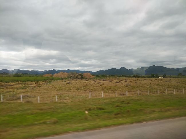 キューバ２０２０旅行記 １１ ビニャーレス渓谷１ その他の都市 キューバ の旅行記 ブログ By アイガーさん フォートラベル