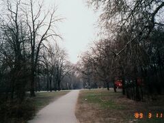 公園の中を彷徨いながら歩きます