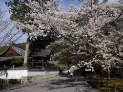 30分ほどで南禅寺に着いた。
少しだけ立ち寄ることにし、境内を散策。
桜の季節の日曜日だというのに境内は静かだった。
やはり、人が少ないほうが落ち着ける。
参道の桜がとても綺麗だった。