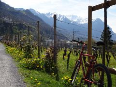 ☆　 Liechtenstein　☆　Cellars of the Prince of Liechtenstein

侯爵家ワイナリー
プリンセスオーナー　の　ワイナリー
少し　はずれ。

すてきな陽気で
歩くには　ちょうど　良い