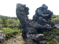 こんなごつごつの岩。よっぽど粘度の高い溶岩だったのでしょう。
