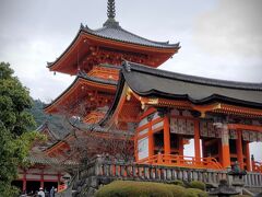 「清水寺」
残念ながら工事中で囲いがありました！！
階段がなかなかきつい…娘ちゃんを抱っこしながら(^_^;)
人もすごかったので今回は中まで入りませんでした。
工事終わったらまた行きたいなー☆