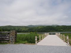 オタトマリ沼では目の前に利尻富士が見られるはずでしたが、雲に隠れて全く見えません。