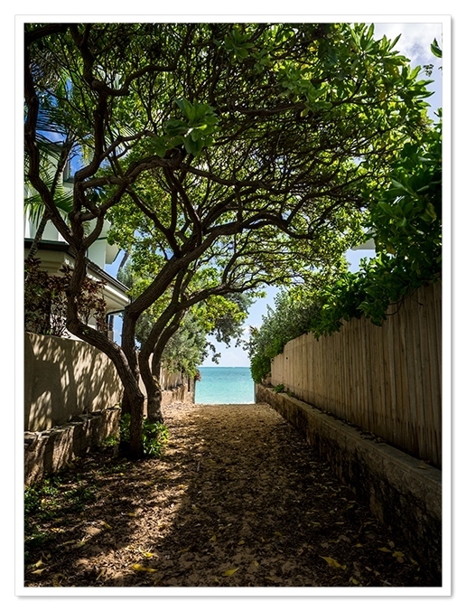 木漏れ日も素敵<br />