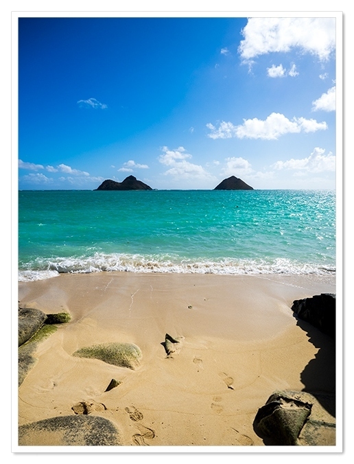 ここもすぐ海だから<br />誰もいないし<br />ボーッと物思いにふけるにはもってこい<br />残念ながらハワイ滞在中は<br />そんな時間はございません<br />貧乏暇なし