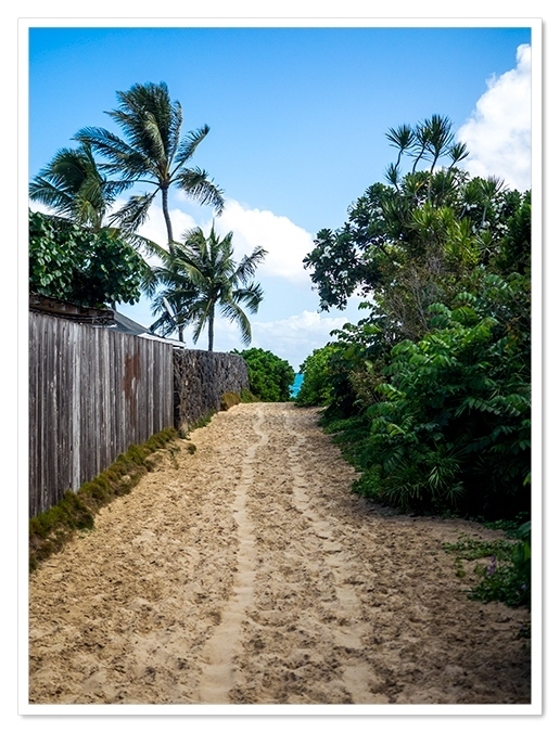 さてお次はNo.7<br />