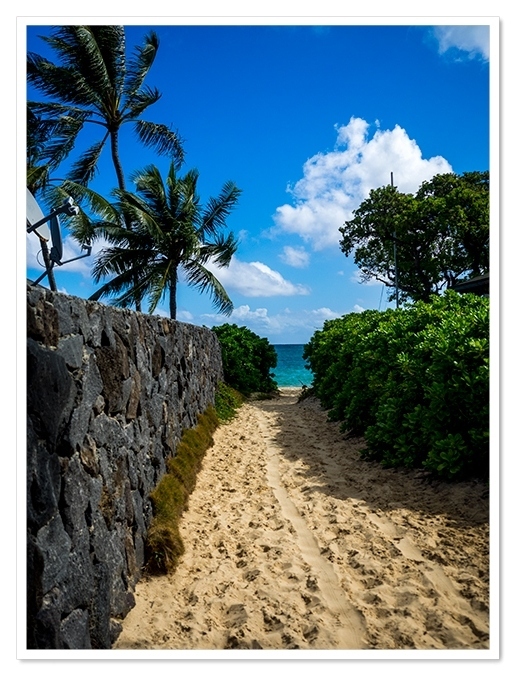 今までとはちょっと変わり<br />木がないぶん空が抜けてまたこれも良し