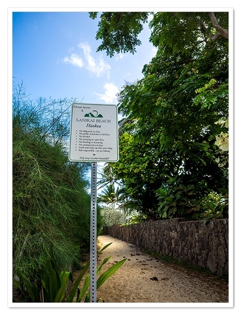 ラニカイの小道<br />これで全部制覇だ<br /><br />いつ来てもワクワクする<br />素敵な小道でした