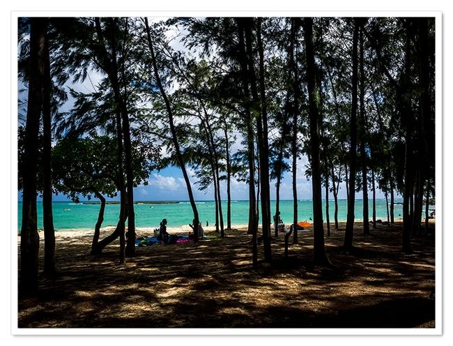 ってことで写真だけ撮って撤収