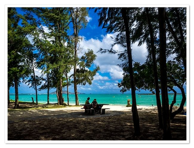 木々の先に見える<br />エメラルドグリーンの海<br />青い空白い雲<br />