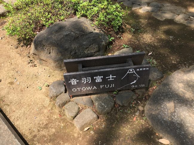 富士山に行きたくても行けない庶民向けの音羽富士塚でした。<br />体力および時間の節約で上まで登りませんでした。