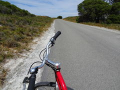 自転車での移動