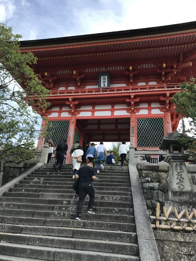 京都へ・・せっかくなので奈良にも行ってみました』奈良市(奈良県)の 